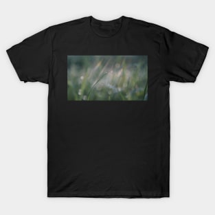 Raindrop on a Blade of Grass T-Shirt